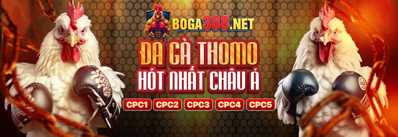 Đá Gà Trực Tuyến vn588 login